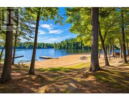 80 Shebeshekong Road, Carling, ON P0G1G0 Photo 19