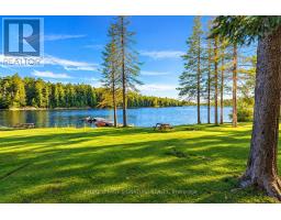80 Shebeshekong Road, Carling, ON P0G1G0 Photo 31