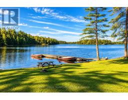80 Shebeshekong Road, Carling, ON P0G1G0 Photo 48