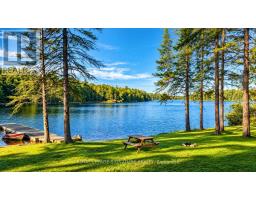 80 Shebeshekong Road, Carling, ON P0G1G0 Photo 46