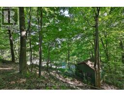 81 Meadowcliffe Drive, Toronto, ON M1M2X8 Photo 18