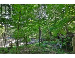 81 Meadowcliffe Drive, Toronto, ON M1M2X8 Photo 20