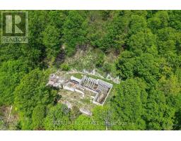 81 Meadowcliffe Drive, Toronto, ON M1M2X8 Photo 9
