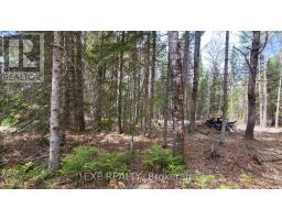 0 Ginza Street, Greater Madawaska, ON K0J2R0 Photo 11