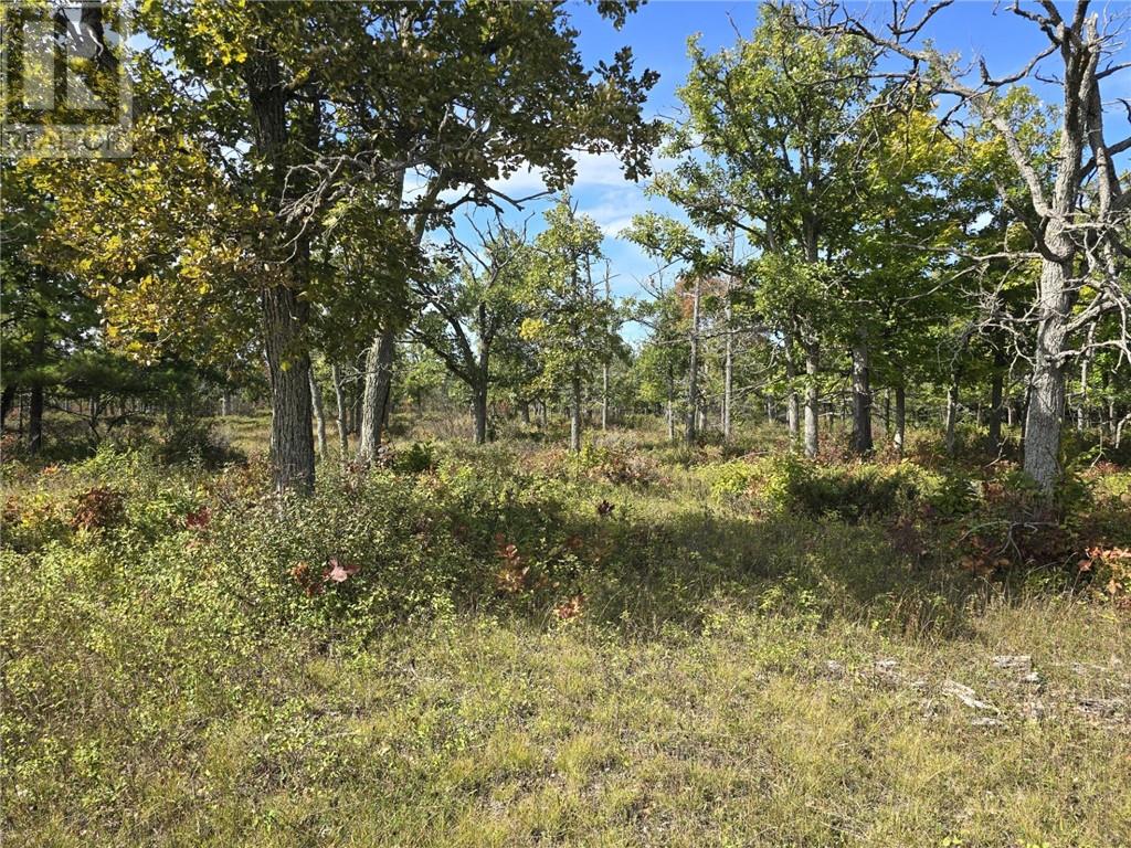 LT 11-12 Bidwell Rd, Assiginack — photo 11