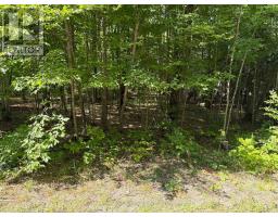 0 Dauncey Road, Magnetawan, ON P0A1P0 Photo 10