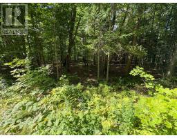 0 Dauncey Road, Magnetawan, ON P0A1P0 Photo 7
