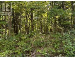 0 Ahmic Lake Road, Magnetawan, ON P0A1P0 Photo 15