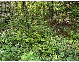 0 Ahmic Lake Road, Magnetawan, ON P0A1P0 Photo 12