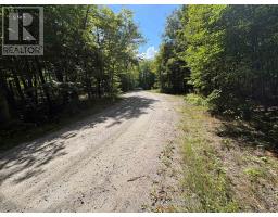 0 Dauncey Road, Magnetawan, ON P0A1P0 Photo 8