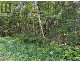0 Ahmic Lake Road, Magnetawan, ON P0A1P0 Photo 10