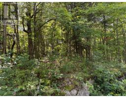 0 Ahmic Lake Road, Magnetawan, ON P0A1P0 Photo 13