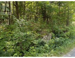 0 Ahmic Lake Road, Magnetawan, ON P0A1P0 Photo 11