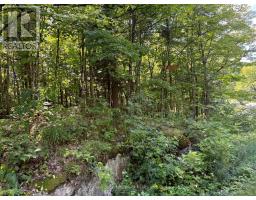 0 Ahmic Lake Road, Magnetawan, ON P0A1P0 Photo 14