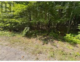 0 Dauncey Road, Magnetawan, ON P0A1P0 Photo 9