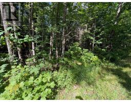 0 Dauncey Road, Magnetawan, ON P0A1P0 Photo 6