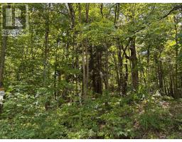 0 Ahmic Lake Road, Magnetawan, ON P0A1P0 Photo 16