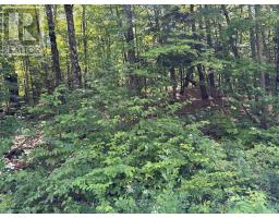 0 Ahmic Lake Road, Magnetawan, ON P0A1P0 Photo 9