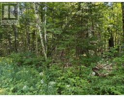 0 Ahmic Lake Road, Magnetawan, ON P0A1P0 Photo 7