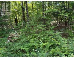 0 Ahmic Lake Road, Magnetawan, ON P0A1P0 Photo 8
