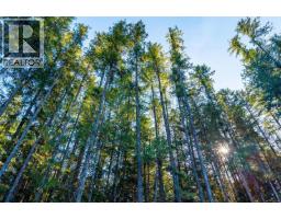 10298 South Dr, Port Alberni, BC V9Y9A9 Photo 10