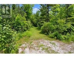 176 Maritime Road, Kawartha Lakes, ON K0M2B0 Photo 41