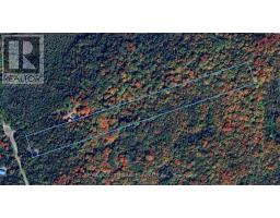 176 Maritime Road, Kawartha Lakes, ON K0M2B0 Photo 48