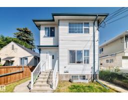 9333 103a Av Nw, Edmonton, AB T5H0H3 Photo 48