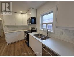 Main - 839 Coxwell Avenue, Toronto, ON M4C3E8 Photo 10
