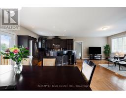 996609 Mulmur-tosorontio Townline, Adjala Tosorontio, ON L0N1M0 Photo 18