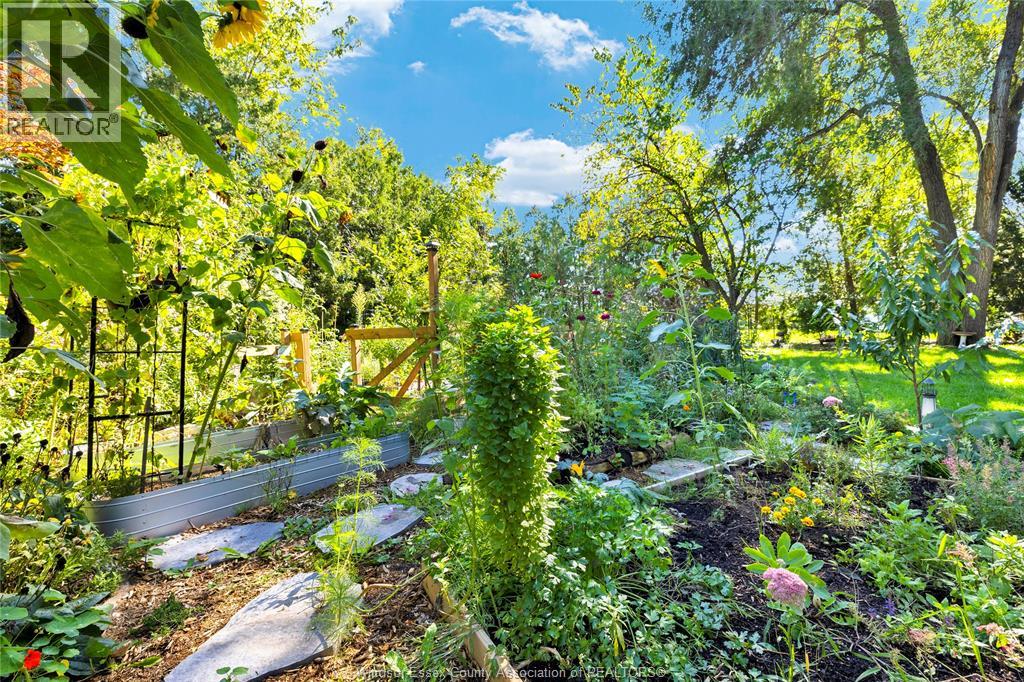 24093 WINTERLINE ROAD - 35