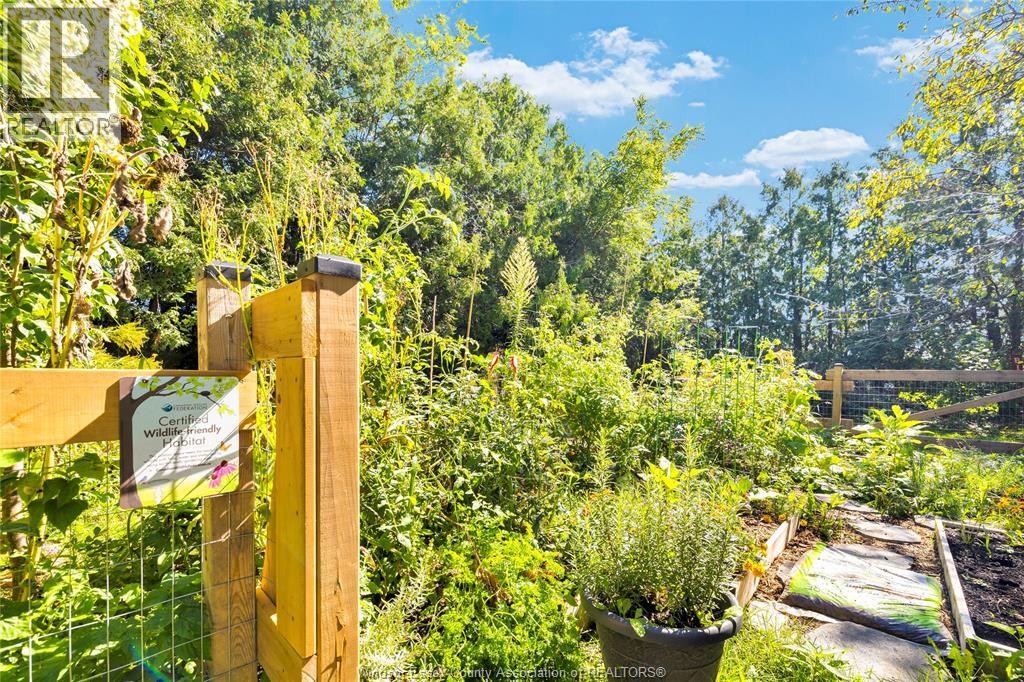 24093 WINTERLINE ROAD - 36