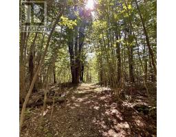 159 Woodstock Road, Clearland, NS B0J2E0 Photo 41