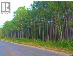 1030 Cox Point Road, Cumberland Bay, NB E4A2Y8 Photo 13
