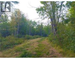 1030 Cox Point Road, Cumberland Bay, NB E4A2Y8 Photo 15