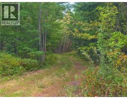1030 Cox Point Road, Cumberland Bay, NB E4A2Y8 Photo 16