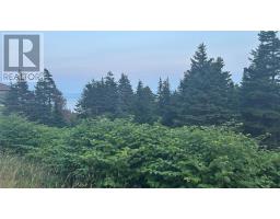 485 Oceanview Drive thumbnail 3