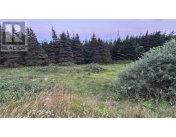 485 Oceanview Drive thumbnail 4
