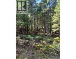 342 Tripp Settlement Road, Keswick Ridge, NB E6L1W5 Photo 6