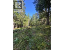 342 Tripp Settlement Road, Keswick Ridge, NB E6L1W5 Photo 7