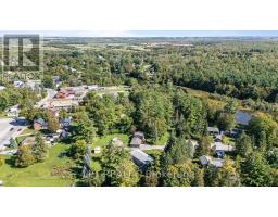 40 Rosemary Lane, Georgina, ON L0E1N0 Photo 37