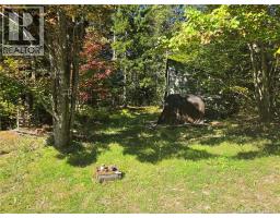 127 Mount Misery East Road, Kingston, NB E5N1G7 Photo 19