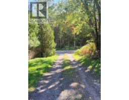 127 Mount Misery East Road, Kingston, NB E5N1G7 Photo 21