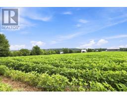 820 Rahmel Road, Otonabee South Monaghan, ON K0L1B0 Photo 46