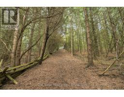 820 Rahmel Road, Otonabee South Monaghan, ON K0L1B0 Photo 47