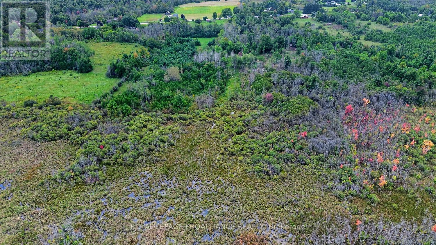 2696 MCINTOSH ROAD - 34