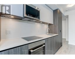 1911 - 8 Widmer Street, Toronto, ON M5V0W6 Photo 17