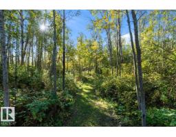 20005 Twp Rd 502, Rural Beaver County, AB T0B4J2 Photo 28