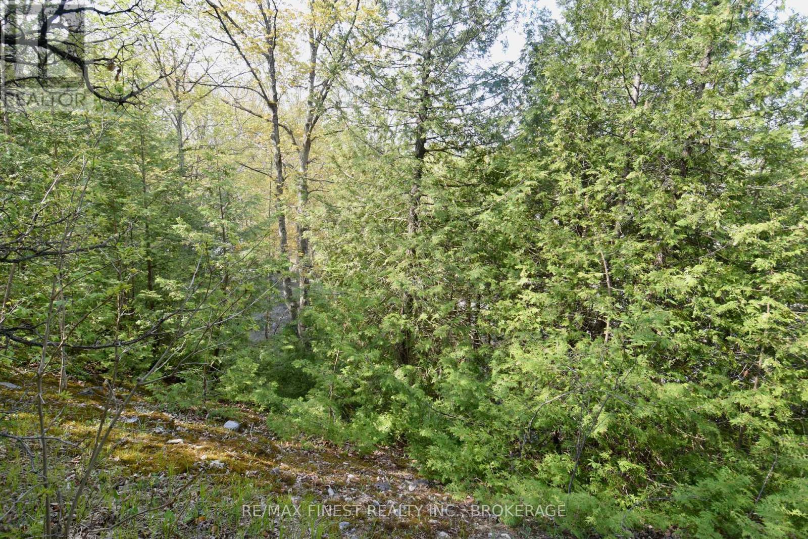 Lot 3 Ballantra Drive, Stone Mills (Stone Mills), Ontario, K0K3G0, Stone Mills (Stone Mills), Ontario — photo 4 of 5