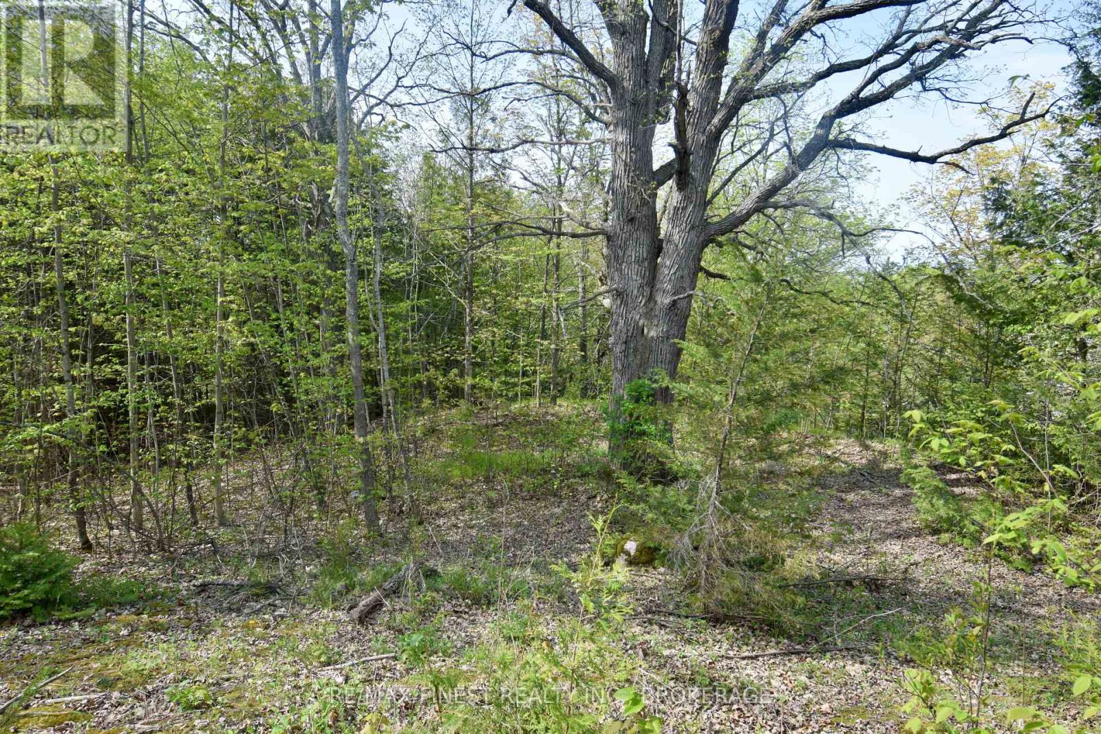 Lot 3 Ballantra Drive, Stone Mills (Stone Mills), Ontario, K0K3G0, Stone Mills (Stone Mills), Ontario — photo 5 of 5